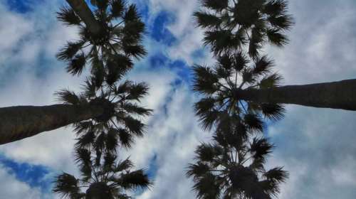 Καιρός: Μικρή πτώση της θερμοκρασίας, νεφώσεις και καταιγίδες