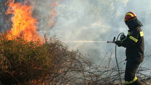 Σε εξέλιξη δασική πυρκαγιά στα Μέγαρα - Ισχυρές δυνάμεις