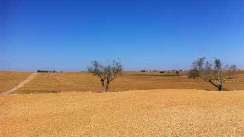 Κίνδυνος ερημοποίησης για το 1/3 των εδαφών της Ελλάδας