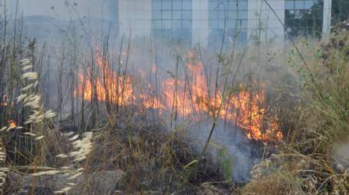 ΓΓΠΠ: Σε ποιες περιοχές υπάρχει υψηλός κίνδυνος πυρκαγιας την Τρίτη