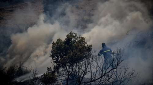 Μάχη με τις φλόγες στην Εύβοια, μία σύλληψη εμπρηστή
