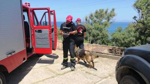 Ενίσχυση από Αθήνα στις έρευνες για την Αμερικανίδα-“Χτενίζεται” η περιοχή