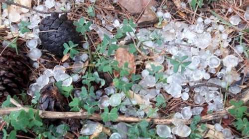 Χαλαζόπτωση και δυνατοί άνεμοι έπληξαν τον Τύρναβο