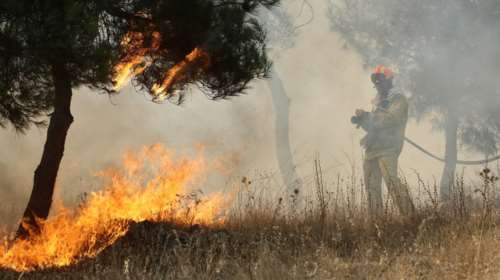Σε εξέλιξη πυρκαγιές σε Τρίκαλα, Εύβοια, Μάνη, Φυλή και Αγ. Θεοδώρους