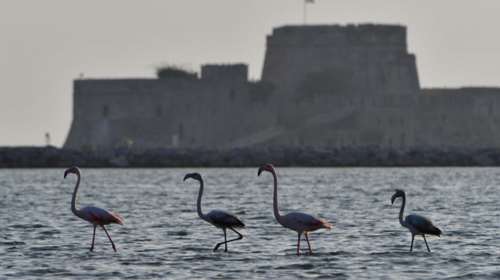 Μια υπέροχη ιδέα για αυτό το weekend στο Ναύπλιο