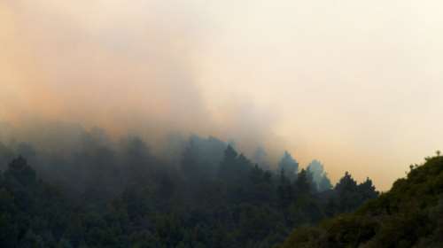 Σε εξέλιξη πυρκαγιά σε δασική περιοχή στη Χαλκιδική
