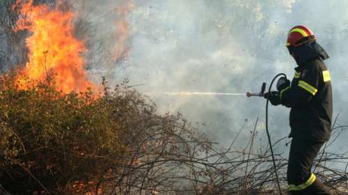 Τρεις νέες πυρκαγιές σε εξέλιξη στην Εύβοια