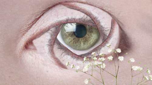 Μικρομηκάδες λάβετε θέση για το Micro μ Festival