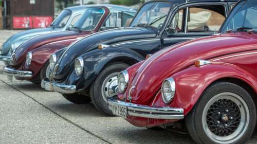 «Κατσαριδάκι αγάπη μου»: Μια πολύχρωμη συγκέντρωση  στη Θεσσαλονίκη