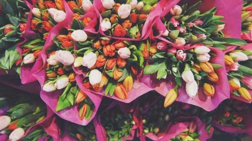 Μήνυση ανθοπωλών για παρεμπόριο λουλουδιών στο ΑΠΘ