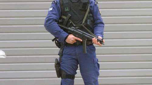 Πράσινο φως για προσλήψεις 1.500 ειδικών φρουρών - Τα προσόντα