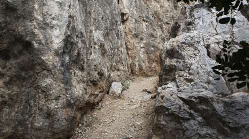 Έγκλημα Φιλοπάππου: Ισόβια στους δράστες της δολοφονίας