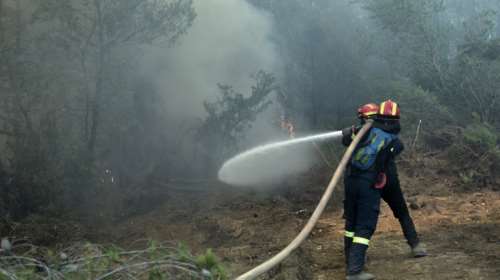 Πυρκαγιά στην περιοχή των Φαρσάλων