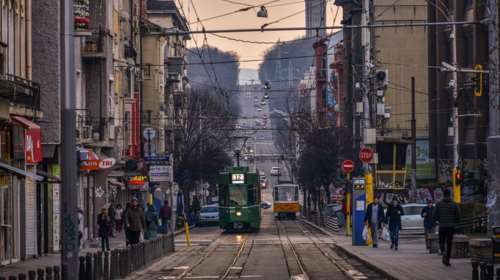 ΕΕ: Ανησυχητική η εξάπλωση της αφρικανικής πανώλης των χοίρων