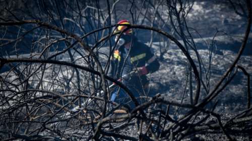 Δυσκολότερη μέρα η Κυριακή: Κατάσταση ακραίου κινδύνου-59 φωτιές το Σάββατο