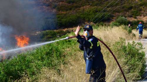 Φλώρινα: Υπό μερικό έλεγχο η φωτιά που ξέσπασε στις Πρέσπες