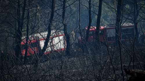 Σε μια ημέρα 63 φωτιές - Μεγάλος κίνδυνος και τη Δευτέρα