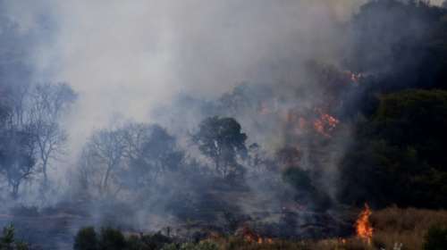 Μαίνεται η φωτιά στην Εύβοια-Εκκένωση του χωριού Μακρυμάλλη