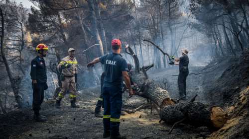 Στάχτη 25.000 στρέμματα δάσους στην Εύβοια