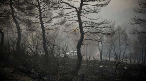 Πολύ υψηλός κίνδυνος πυρκαγιάς και ανήμερα του Δεκαπενταύγουστου