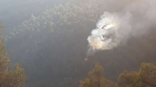 Φωτιά Εύβοια: Στο μέτωπο του χωριού Πλατανιά εστιάζουν τις προσπάθειες
