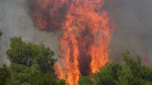 Συναργεμός στην Κέρκυρα-Πυρκαγιά σε περιοχή Natura