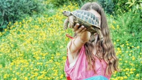 Ο θεατρικός μονόλογος HIV ανεβαίνει για λίγες παραστάσεις