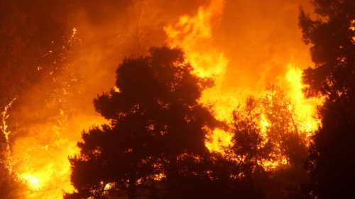 Συνελήφθη 43χρονος για τρεις εμπρησμούς στην Ηλεία