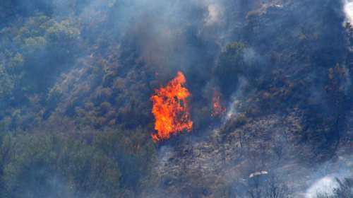 Πυρκαγιά σε δύσβατη περιοχή στα Καλάβρυτα