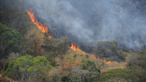 Μάχη των πυροσβεστών σε τέσσερα μέτωπα