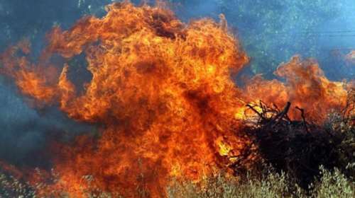 Αλεξανδρούπολη: Μεγάλη φωτιά κοντά σε οικισμό στην Καβησό