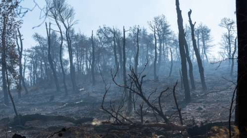 Εύβοια: Το μαύρο αποτύπωμα μιας τεράστιας καταστροφής