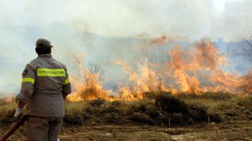 Πυρκαγιά σε υπαίθριο χώρο στο Νέο Ικόνιο