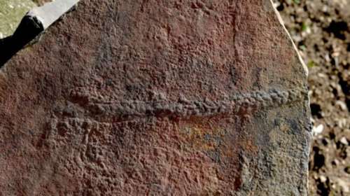 Σαρανταποδαρούσα έκανε το αρχαιότερο ταξίδι στη γη