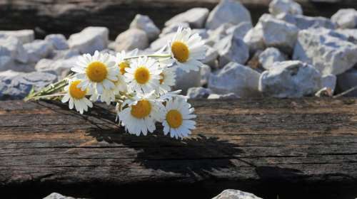 ΠΟΥ-έρευνα: Κάθε 40 δευτερόλεπτα ένας άνθρωπος θέτει τέρμα στη ζωή του