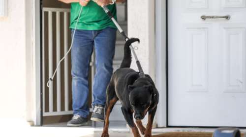 Γλυκά νερά: Κατέθεσε η μητέρα-Τι λένε οι μαρτυρίες