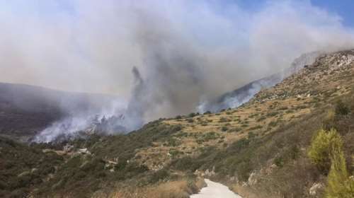 Ζάκυνθος: Στο Κερί η φωτιά - Εκκενώνονται σπίτια