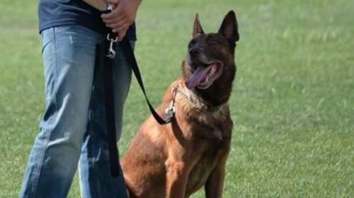 Η ΕΛΑΣ αποχαιρέτησε τον «θρυλικό» Άρη