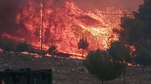 Ολονύχτια μάχη με τις φλόγες και τον άνεμο σε Ζάκυνθο και Λουτράκι