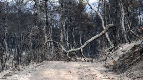Πυρκαγιές στην Ελλάδα: Κάηκε... μία Σαλαμίνα