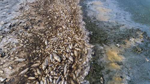 H Κορώνεια μάχεται για την επιβίωσή της: Επιβαρυμένη η οικολογική &quot;μνήμη&quot;