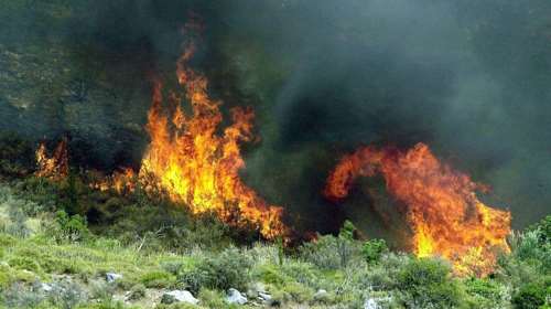 Σε εξέλιξη πυρκαγιά σε περιοχή του χωριού Οξυά στην Καρδίτσα