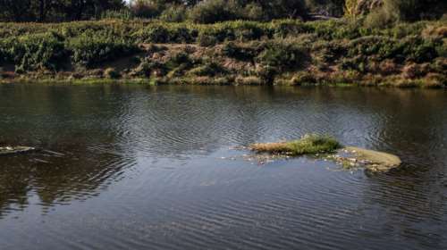 Ανθρώπινα οστά εντοπίστηκαν στον Πηνειό ποταμό