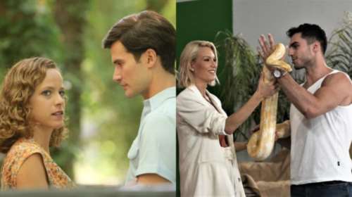 Μέλισσες εναντίον φιδιών, μια απίστευτη ...μάχη πόντο-πόντο