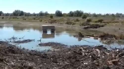 Θρίλερ με ανθρώπινα οστά στη Λάρισα - εν αναμονή του DNA