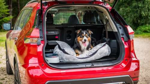 Γιατί βράβευσαν το Nissan X-Trail οι Sunday Times