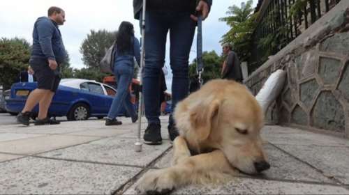 Θεσσαλονικη: Ο Στράτος και ο Μπρούνο στο αφιλόξενο για τα ΑμεΑ κέντρο