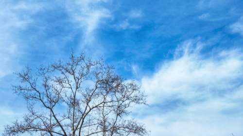 Λιακάδα την Κυριακή - H πρόβλεψη του Meteo για τον καιρό