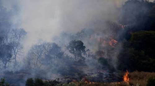 Ηλεία: Μαίνεται η πυρκαγιά σε τρία μέτωπα στις πλαγιές του Ερυμάνθου