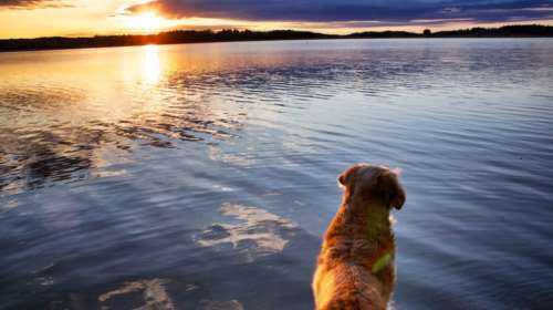 Σταδιακή βελτίωση του καιρού το Σάββατο, με τοπικές βροχές